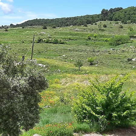 Casa rural Eccehomo De *